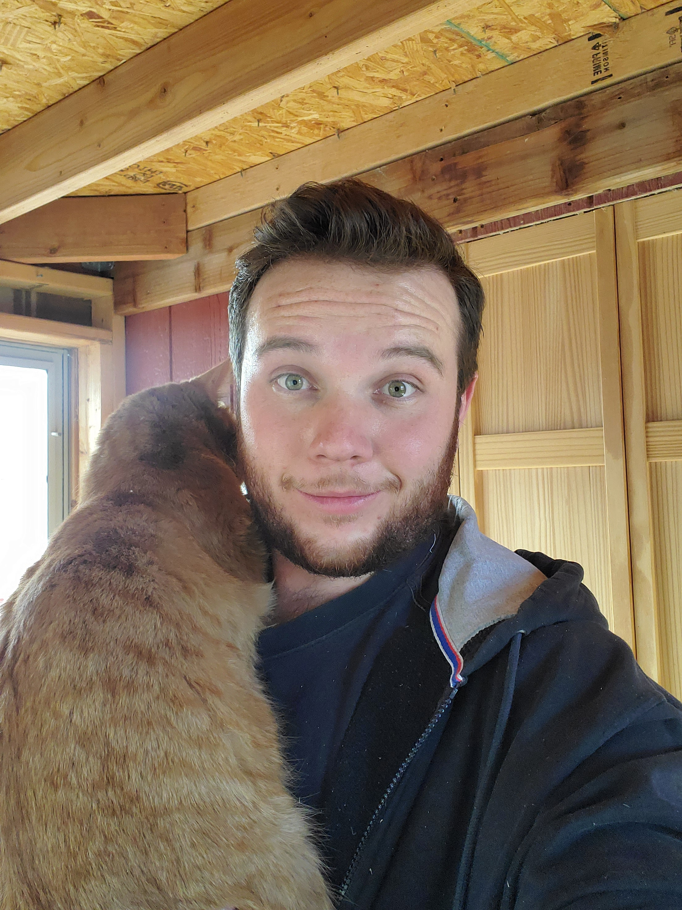 Picture of Josh, Founder and Master Electrician